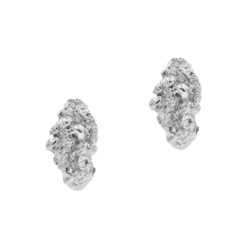 Simple Crystal Earrings for Women-The Danai Silver Earrings