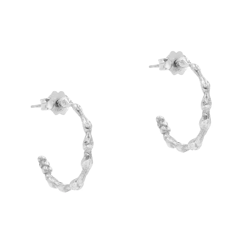 Simple Crystal Earrings for Women-The Leda Silver Earrings